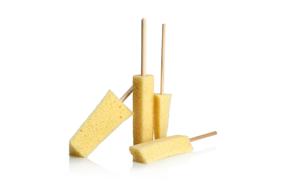 The 4 sponges of the Sponge Guru Precision Detailing Sponge Kit